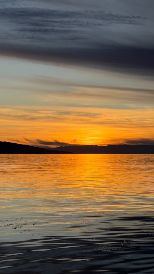 10/22/2022 @bbbeaglebearphotography #189