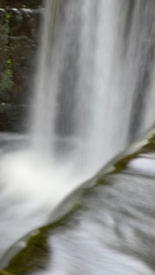 07/02/2023 @bbbeaglebearphotography #240