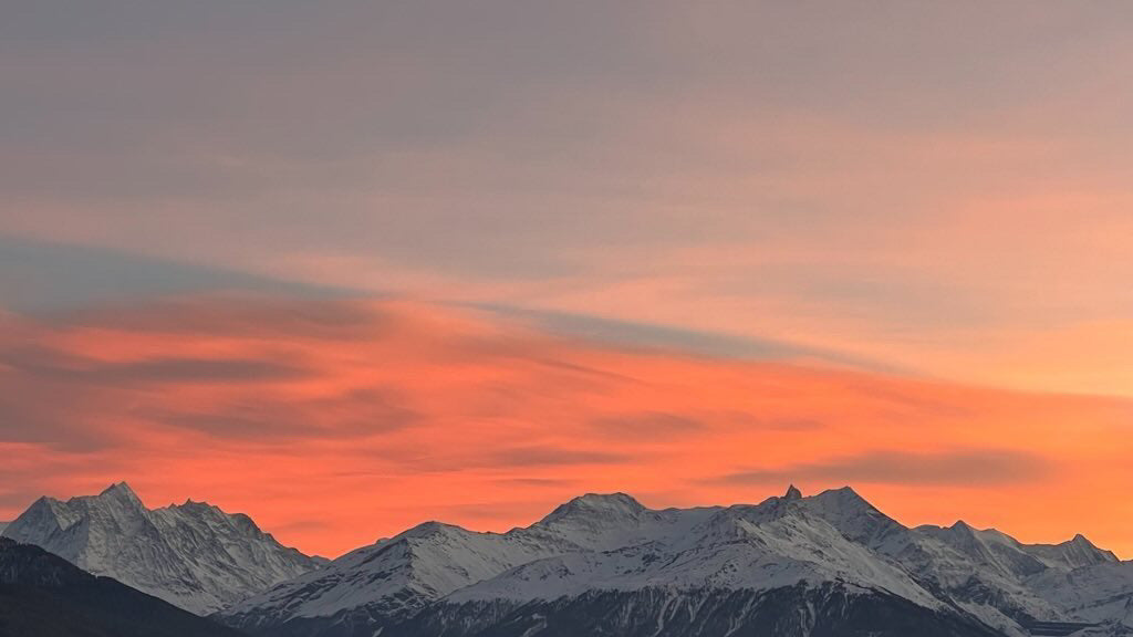 12/30/2021 @bbbeaglebearphotography #55