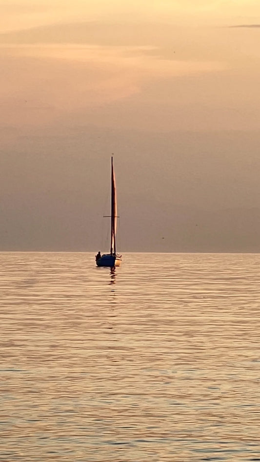 06/18/2023 @bbbeaglebearphotography #211