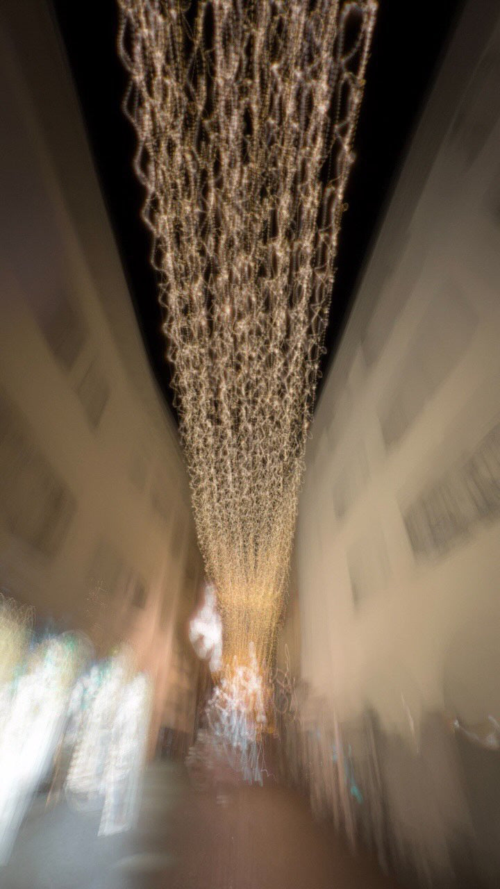 12/27/2022 @bbbeaglebearphotography #51