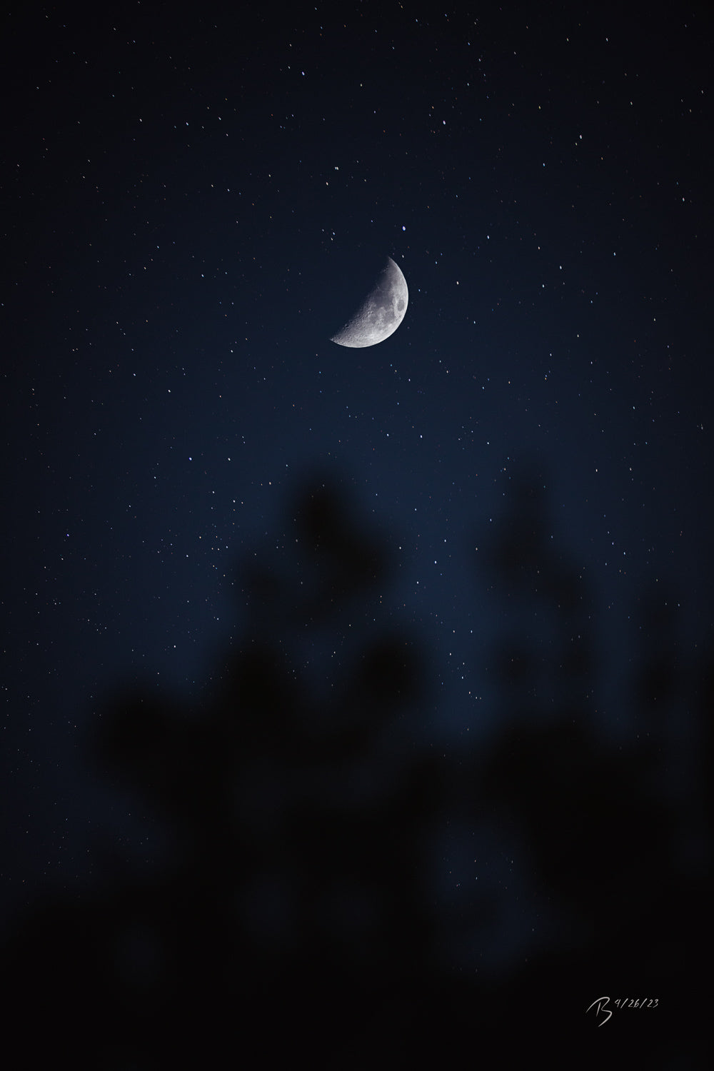 04/26/2023 @robskog #101