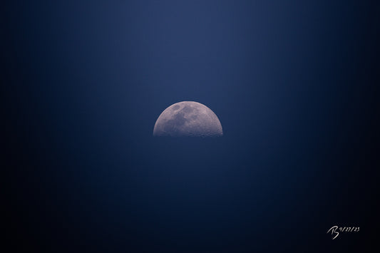 04/27/2023 @robskog #102