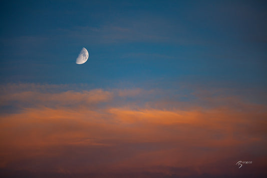 04/28/2023 @robskog #99