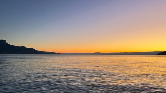 08/09/2023 @bbbeaglebearphotography #274