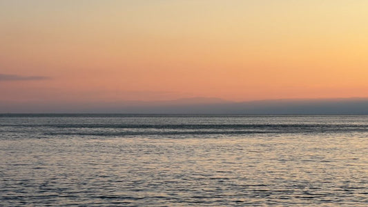 08/06/2022 @bbbeaglebearphotography #219