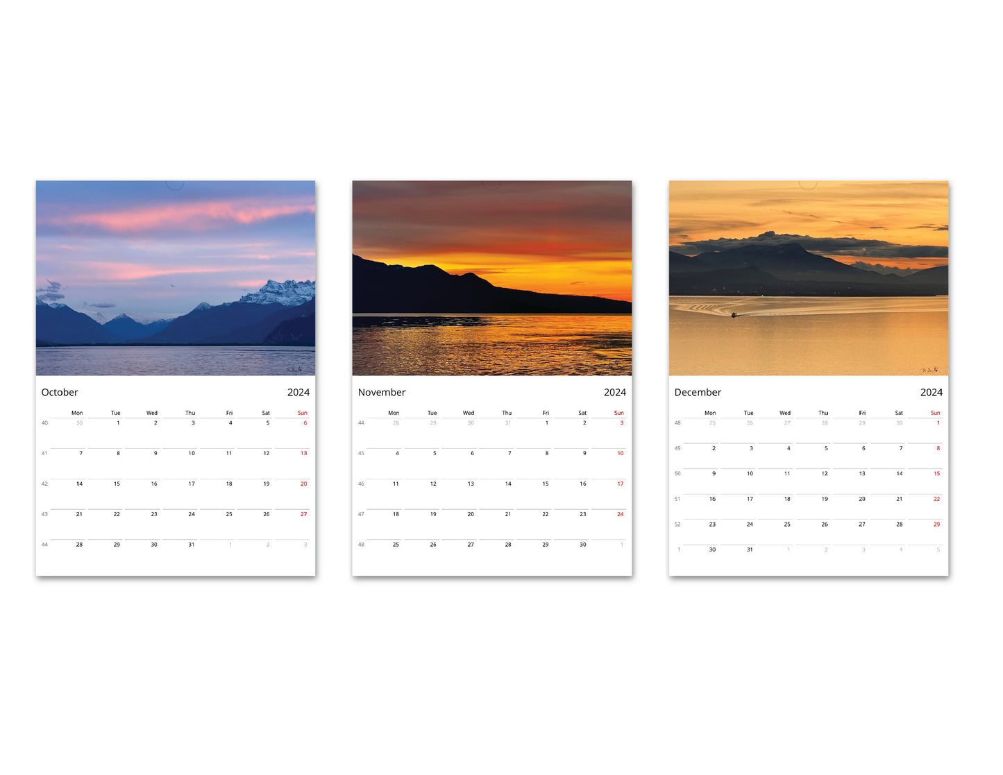 2024 Calendar @bbbeaglebearphotography