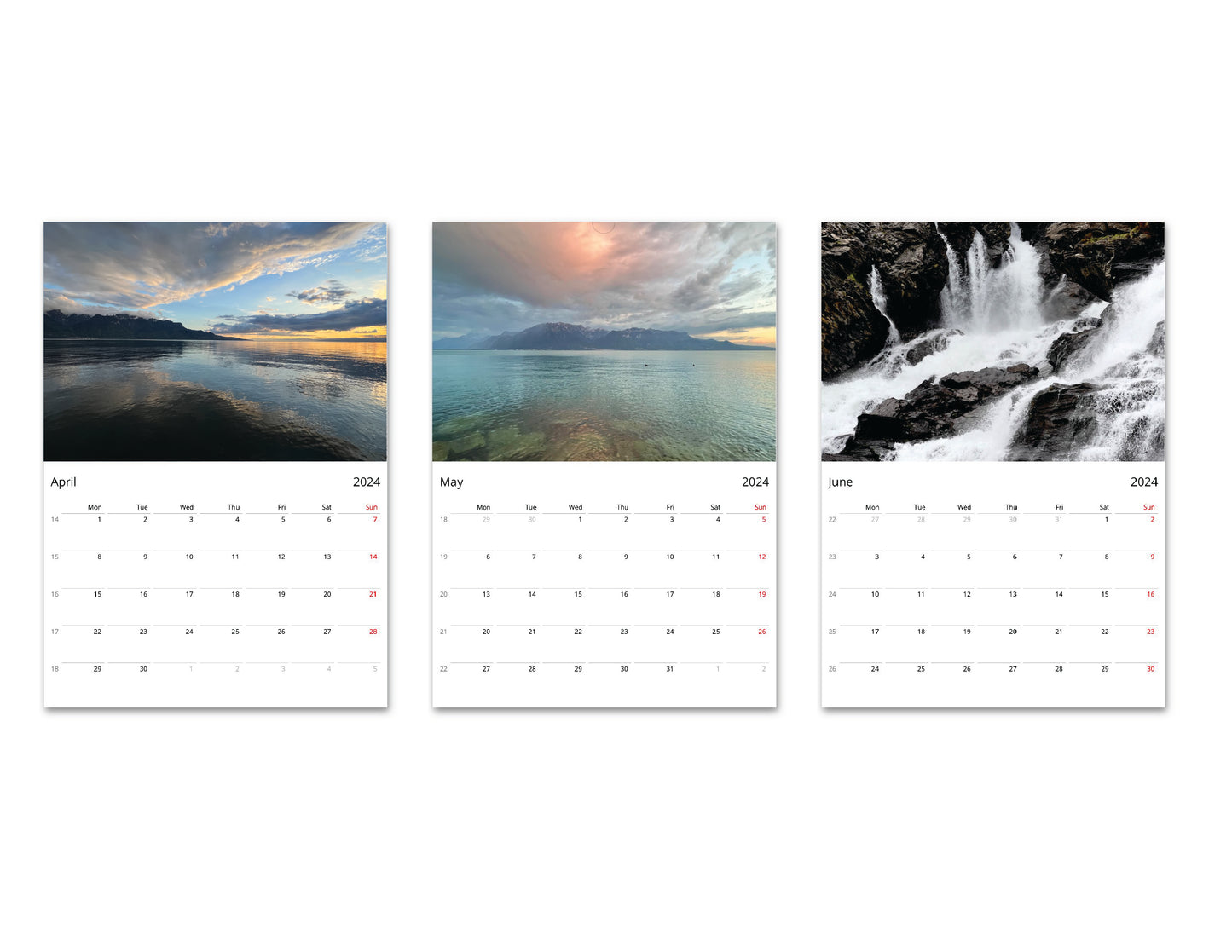 2024 Calendar @bbbeaglebearphotography
