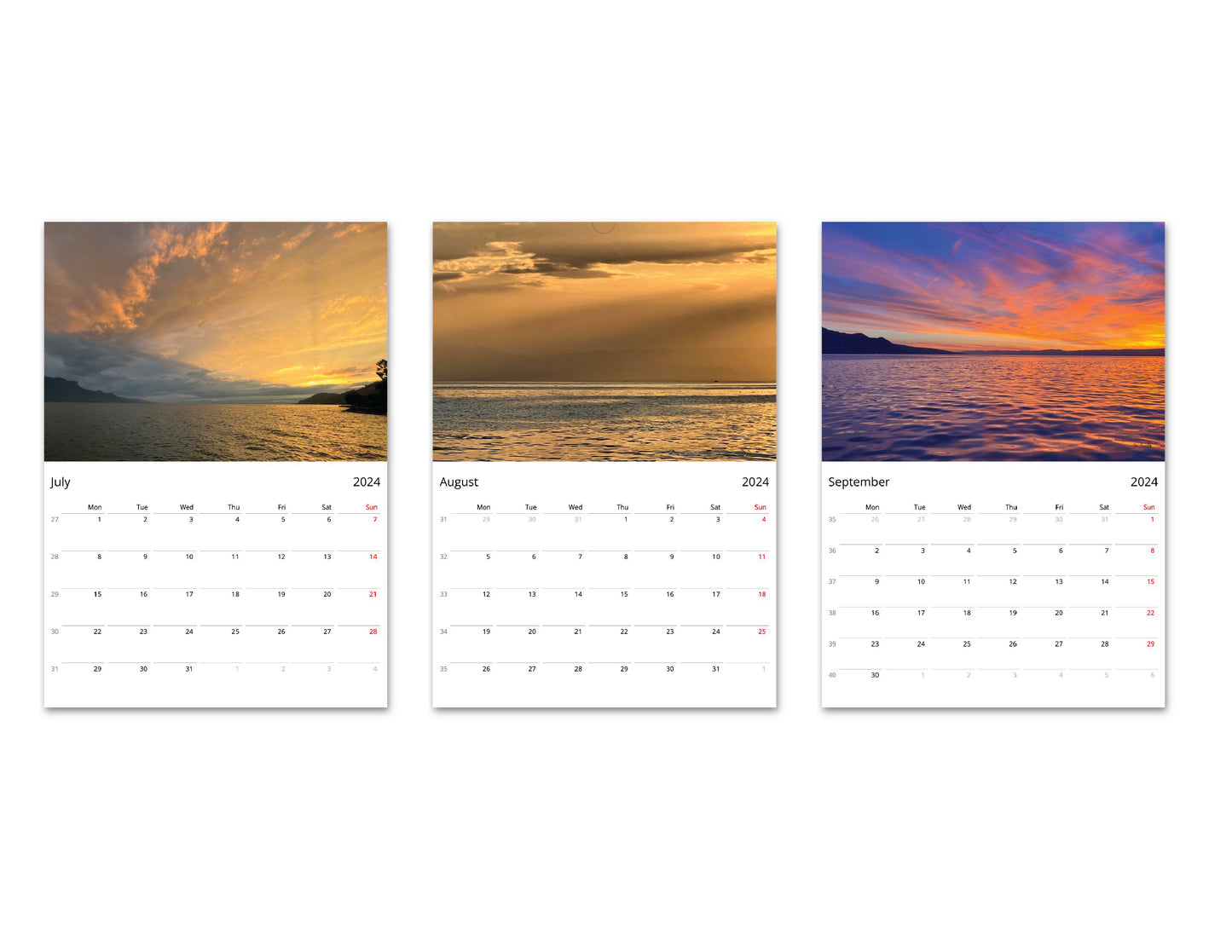 2024 Calendar @bbbeaglebearphotography