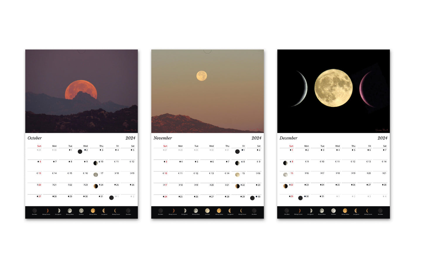 2024 Lunar Cycle Calendar @Moonwise8