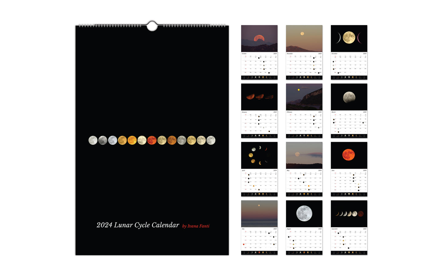2024 Lunar Cycle Calendar @Moonwise8
