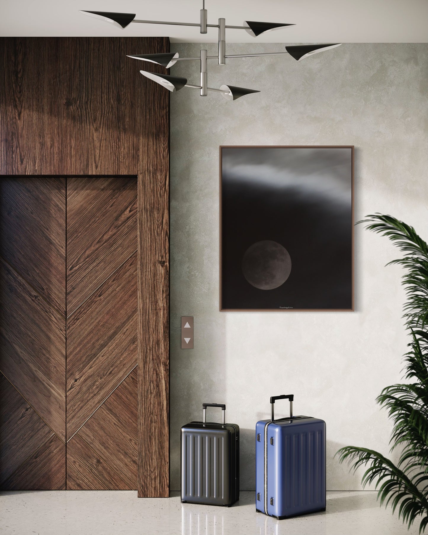 08/01/2023 @opalskyphotos #193