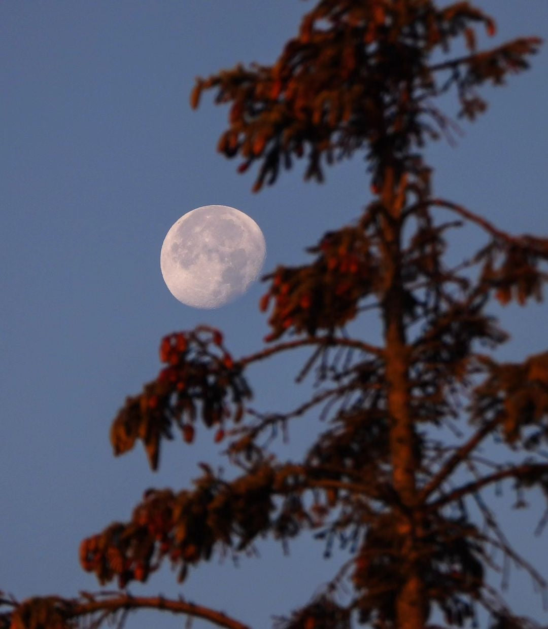 08/04/2023 @bona.fide8 #73