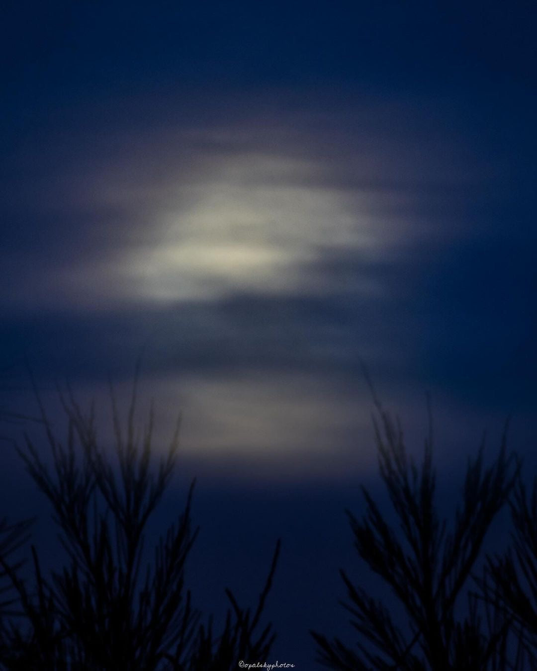 08/02/2023 @opalskyphotos #199