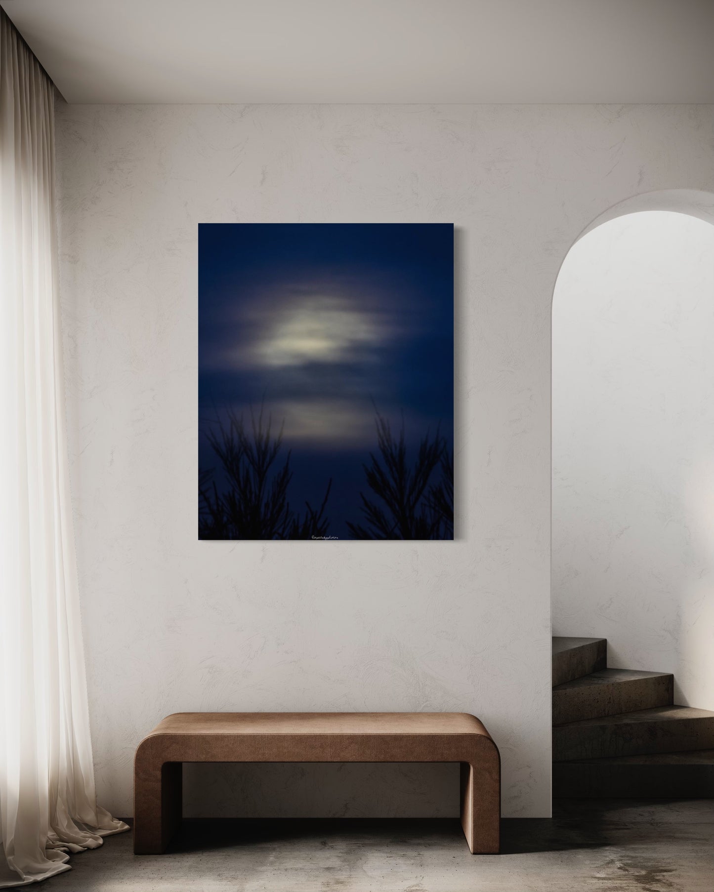 08/02/2023 @opalskyphotos #199