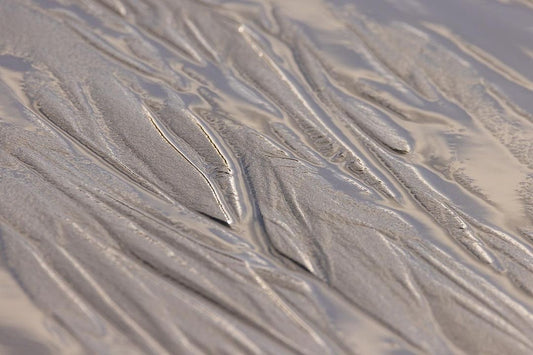 03/26/2023 @melaniethomas.photography #6