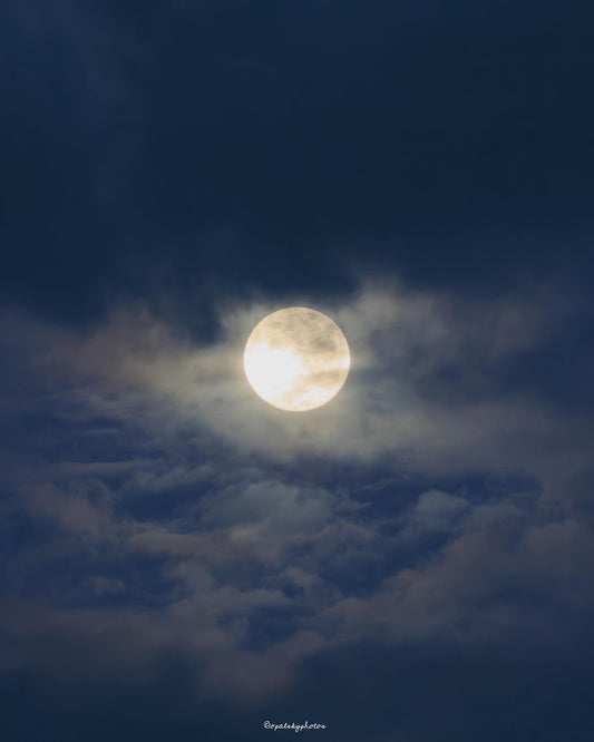 09/01/2023 @opalskyphotos #226