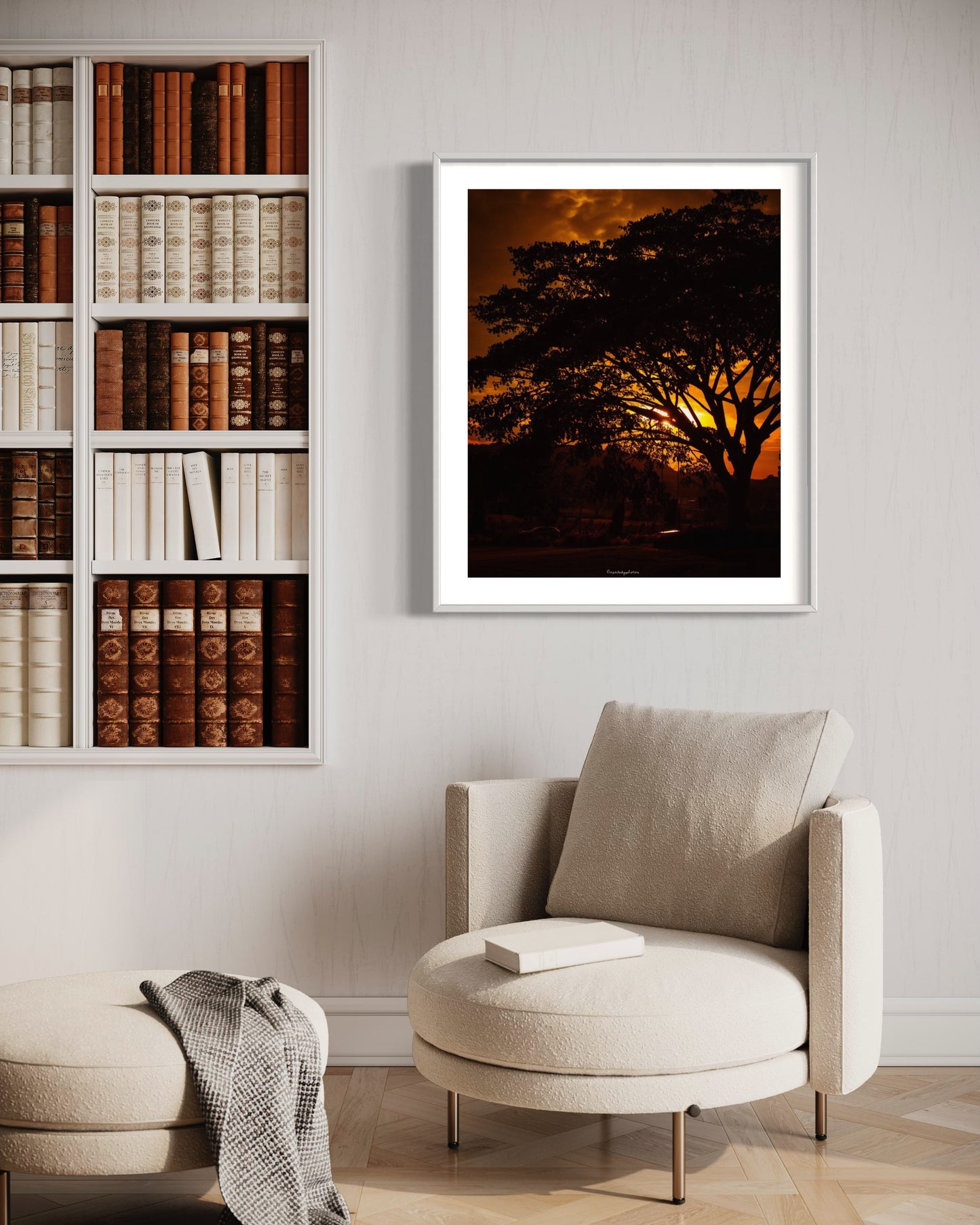 07/17/2023 @opalskyphotos #161