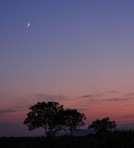 07/21/2023 @bona.fide8 #63