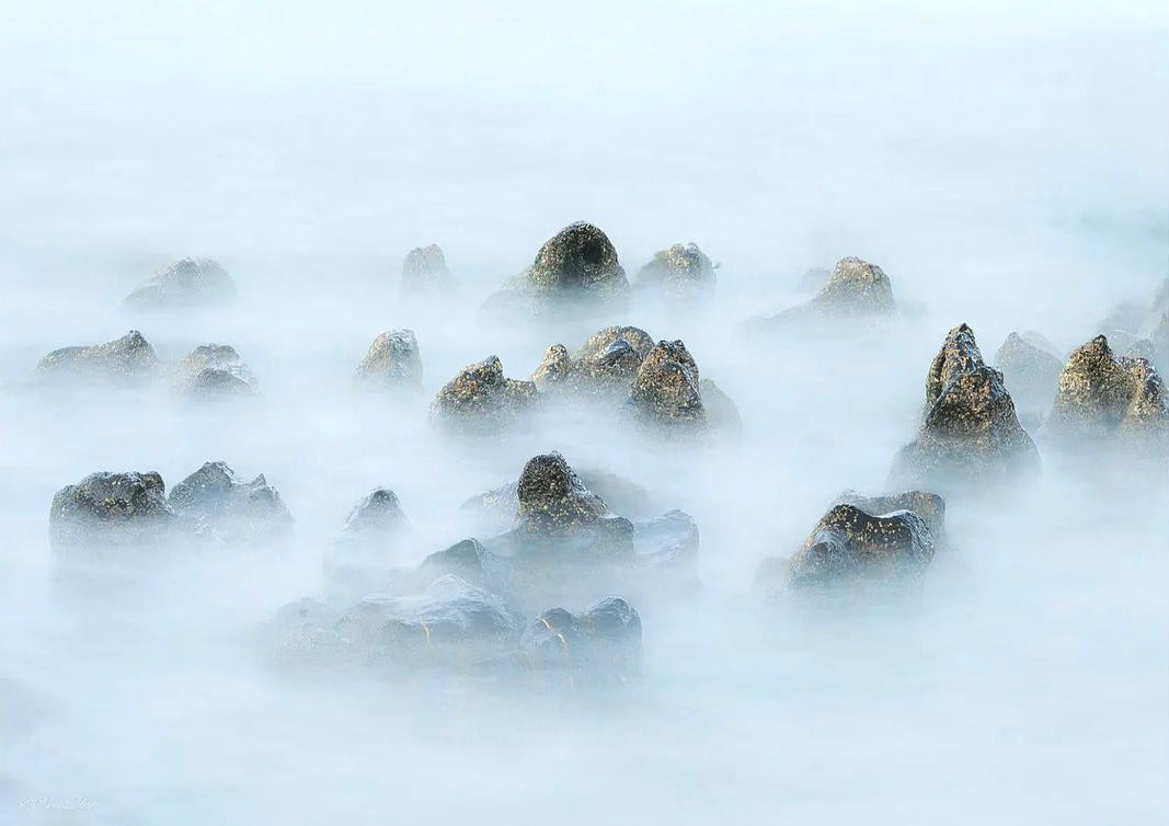 09/16/2023 @damod69 #12