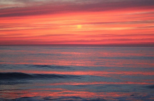 09/18/2022 @pictures_by_shell #8