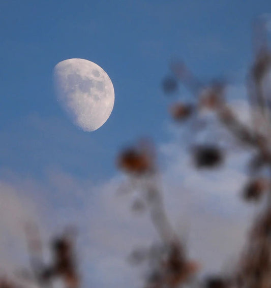 03/02/2023 @bona.fide8 #7