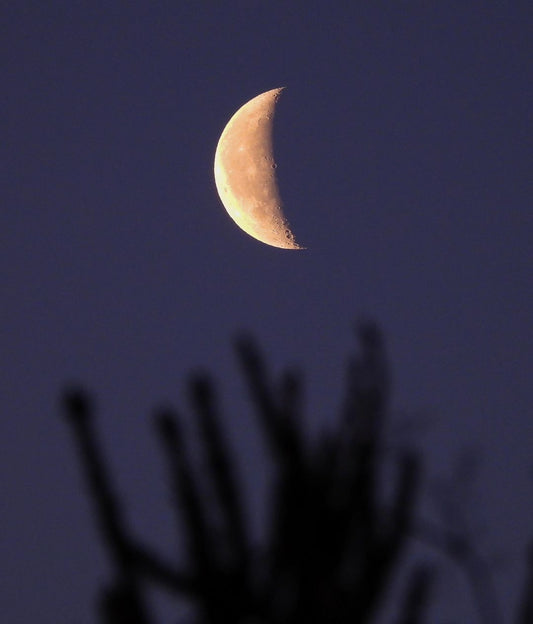 05/13/2023 @bona.fide8 #12