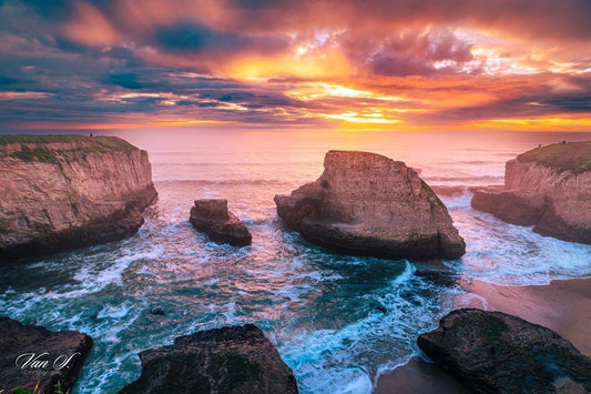 01/16/2022 @_love_in_the_mist_ #8