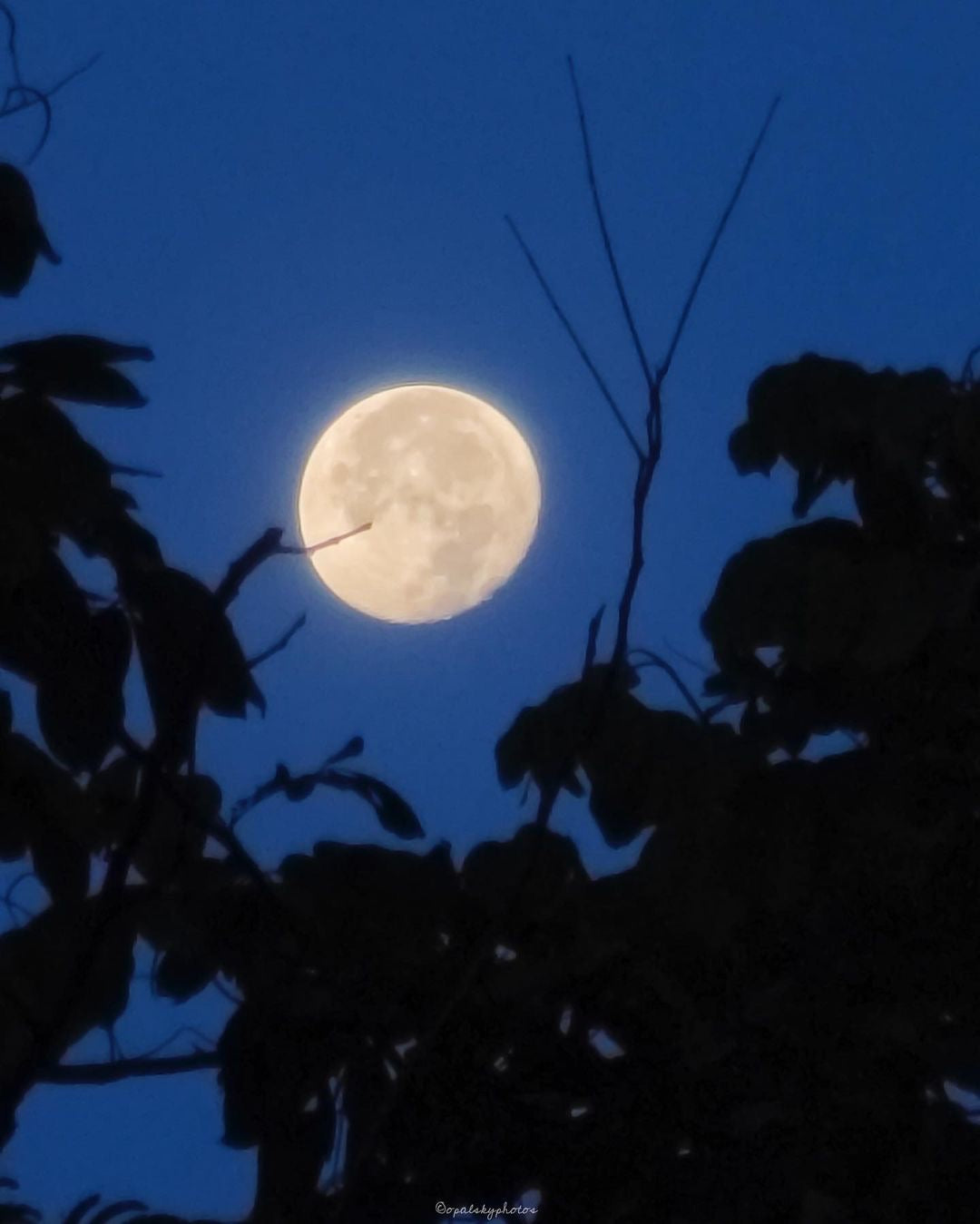 06/05/2023 @opalskyphotos #30