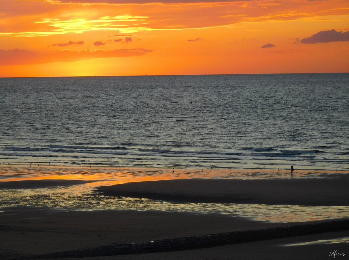 09/05/2020 @ldfocus #13