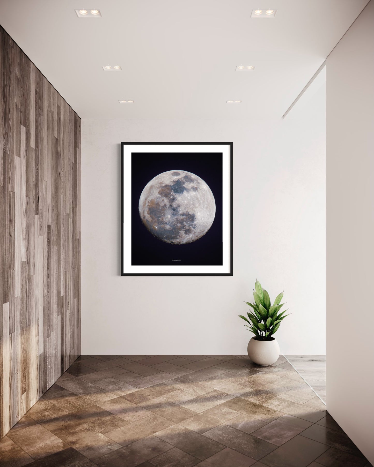 06/02/2023 @opalskyphotos #25