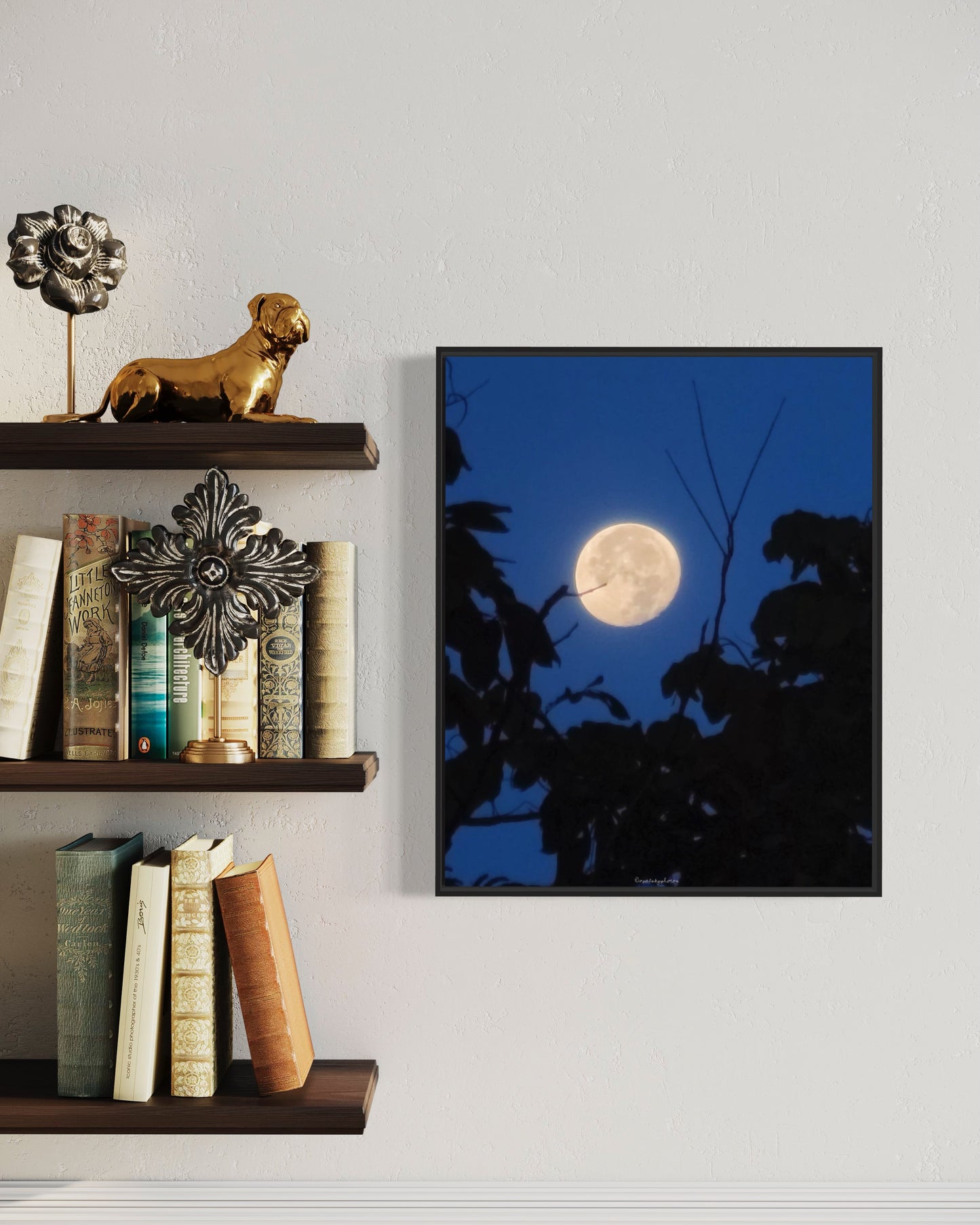 06/05/2023 @opalskyphotos #30