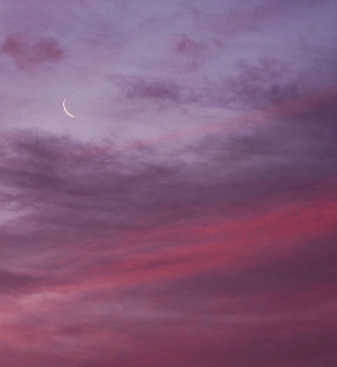 06/14/2023 @bona.fide8 #35