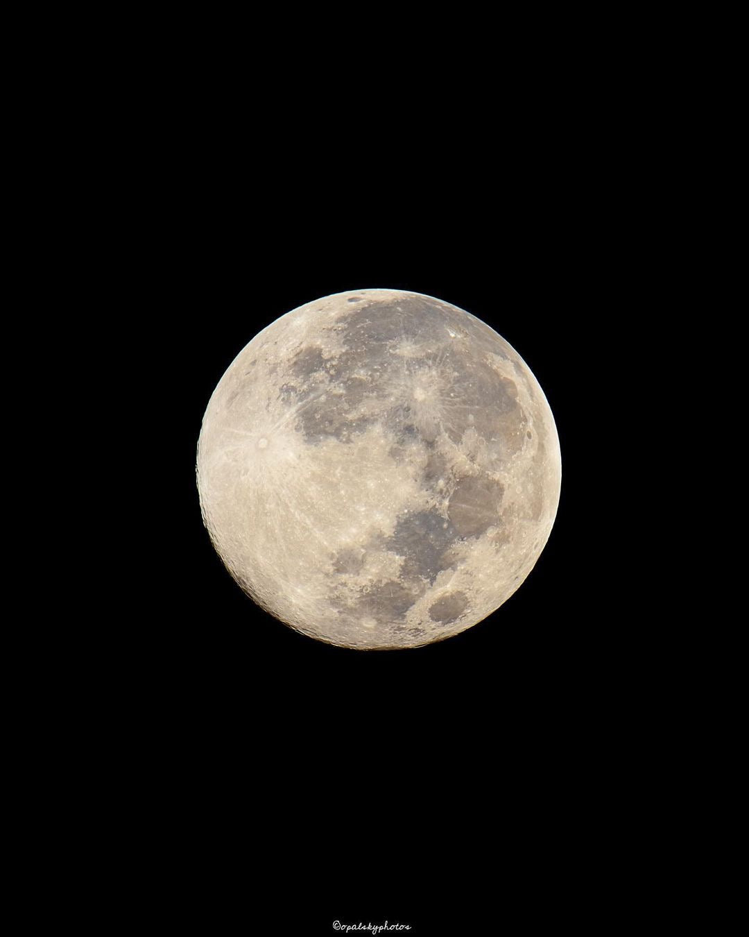 11/28/2023 @opalskyphotos #235