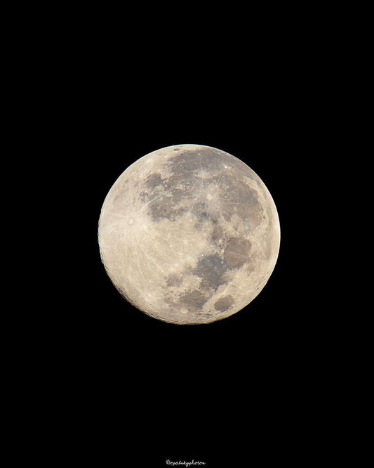 11/28/2023 @opalskyphotos #235