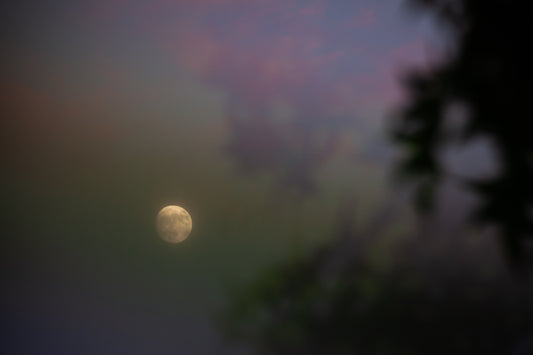 07/30/2023 @robskog #150