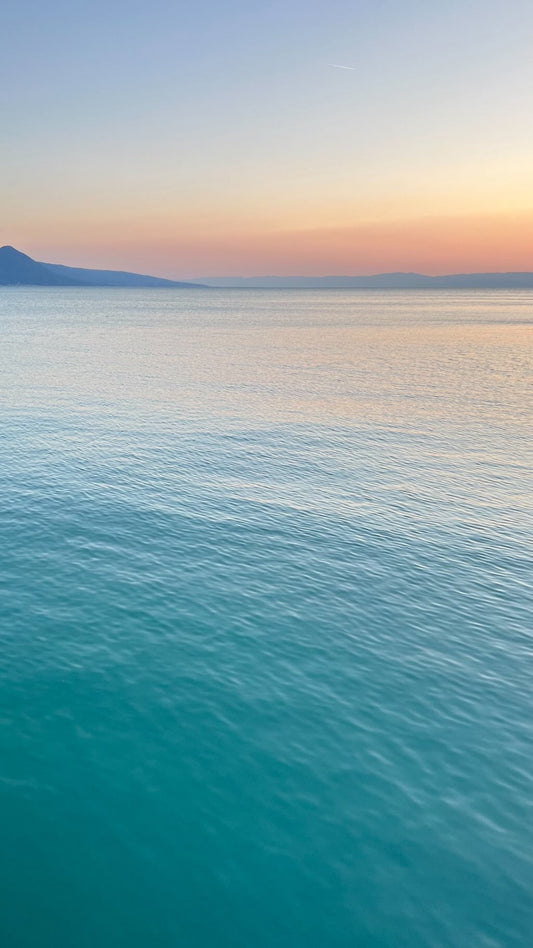 06/14/2023 @bbbeaglebearphotography #143