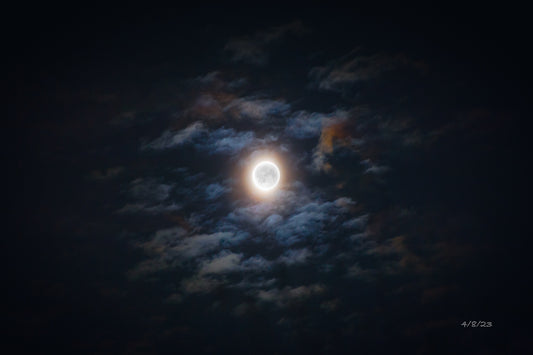 04/08/2023 @robskog #57