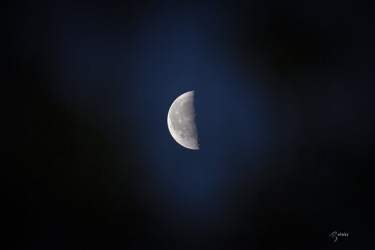 04/13/2023 @robskog #72