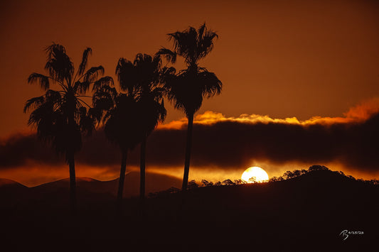 04/15/2023 @robskog #73