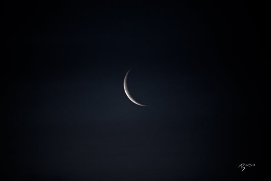 04/17/2023 @robskog #78