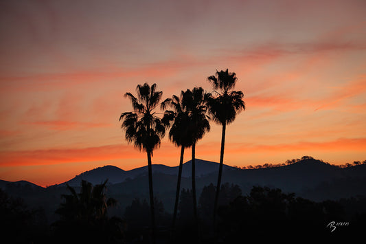 02/08/2023 @robskog #91