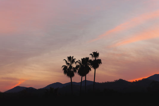 02/20/2023 @robskog #35