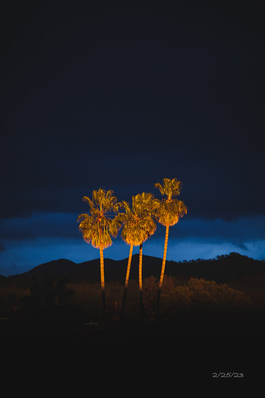 02/25/2023 @robskog #49