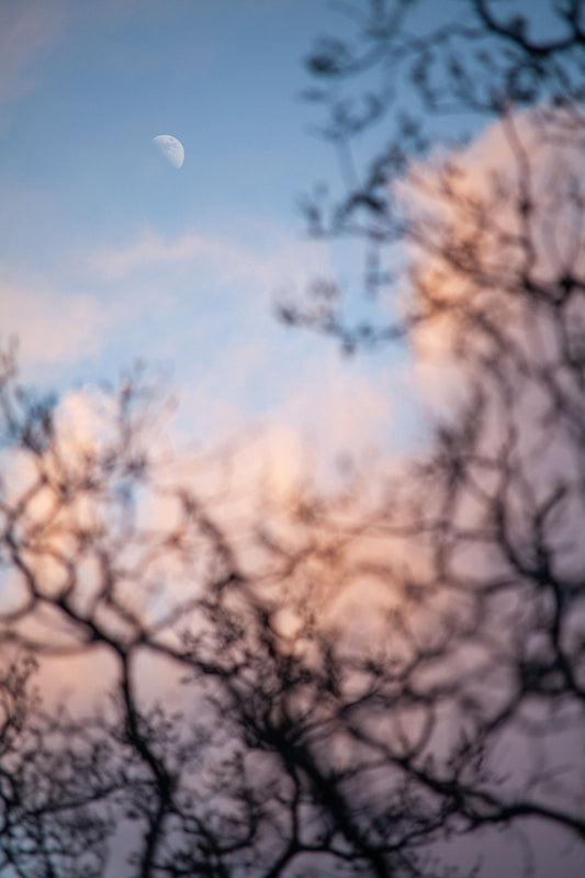 02/27/2023 @robskog #37