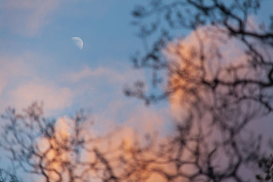 02/27/2023 @robskog #24