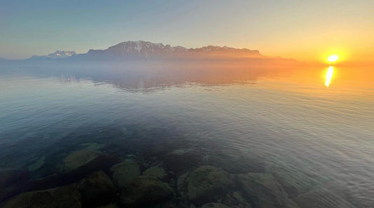 02/13/2023 @bbbeaglebearphotography #4