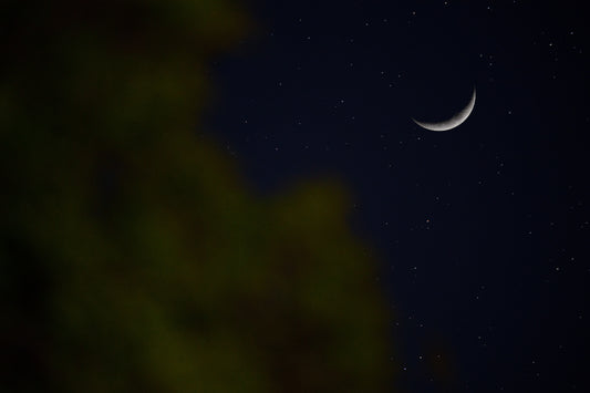 01/24/2023 @robskog #6