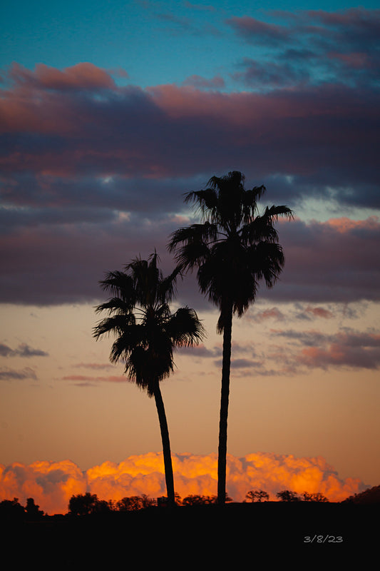 03/08/2023 @robskog #63