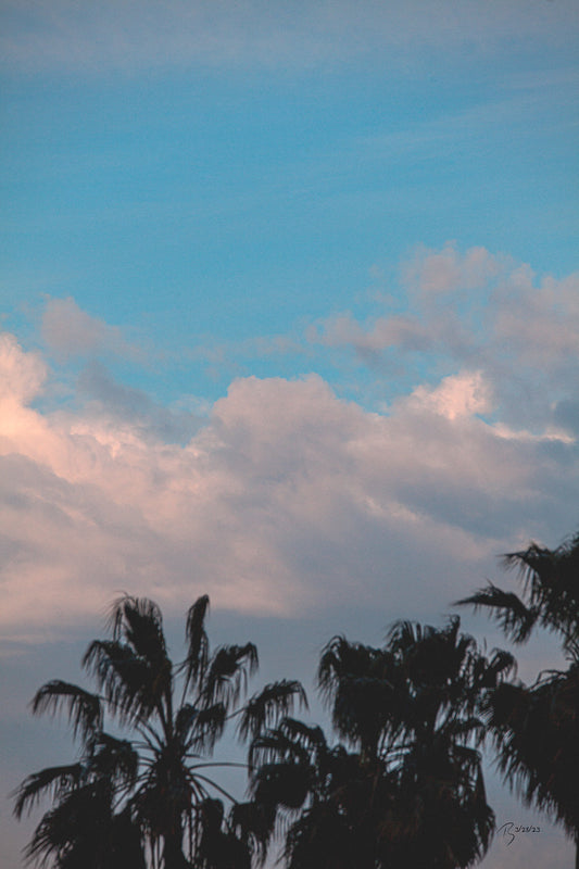 03/28/2023 @robskog #71